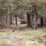 Lf14134-spottrup-sigfred-madsens-vej-4 * Nymolle