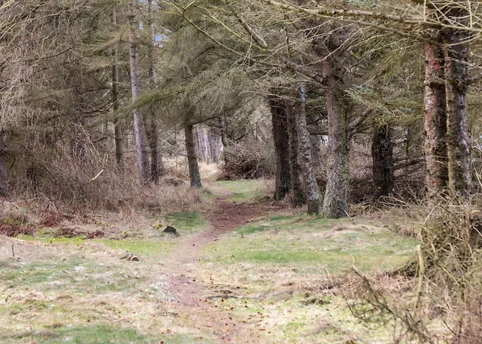 Lf14134-spottrup-sigfred-madsens-vej-4 * Nymolle